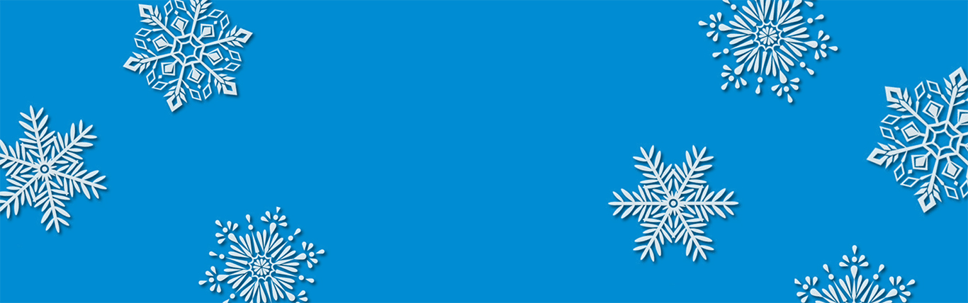Winter snowflakes